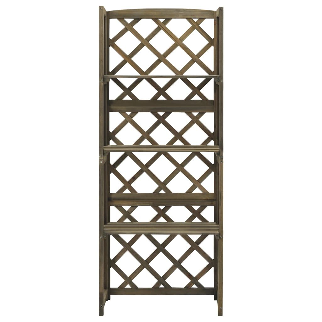 Trellis with Shelves Grey 55x30x140 cm Solid Fir Wood Price