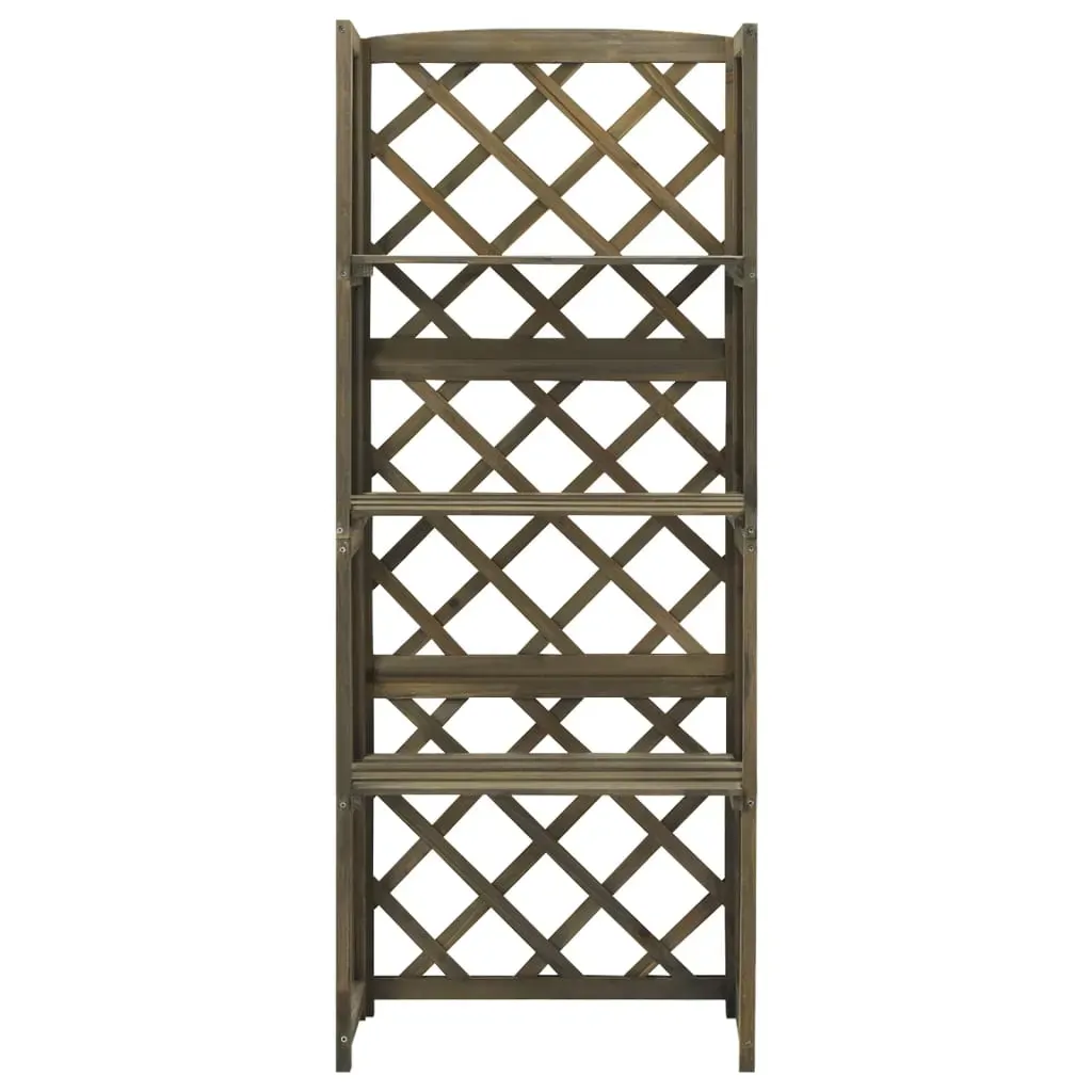 Trellis with Shelves Grey 55x30x140 cm Solid Fir Wood Price