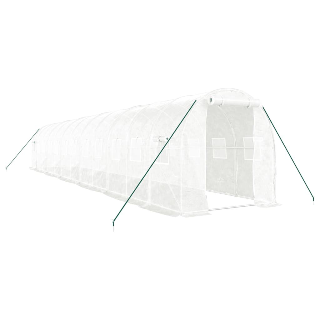 Greenhouse with Steel Frame White 24 m² 12x2x2 m Price