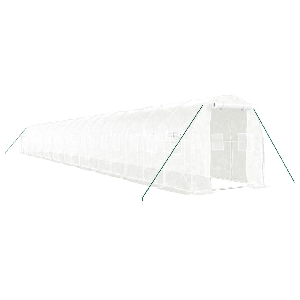 Greenhouse with Steel Frame White 40 m² 20x2x2 m Price
