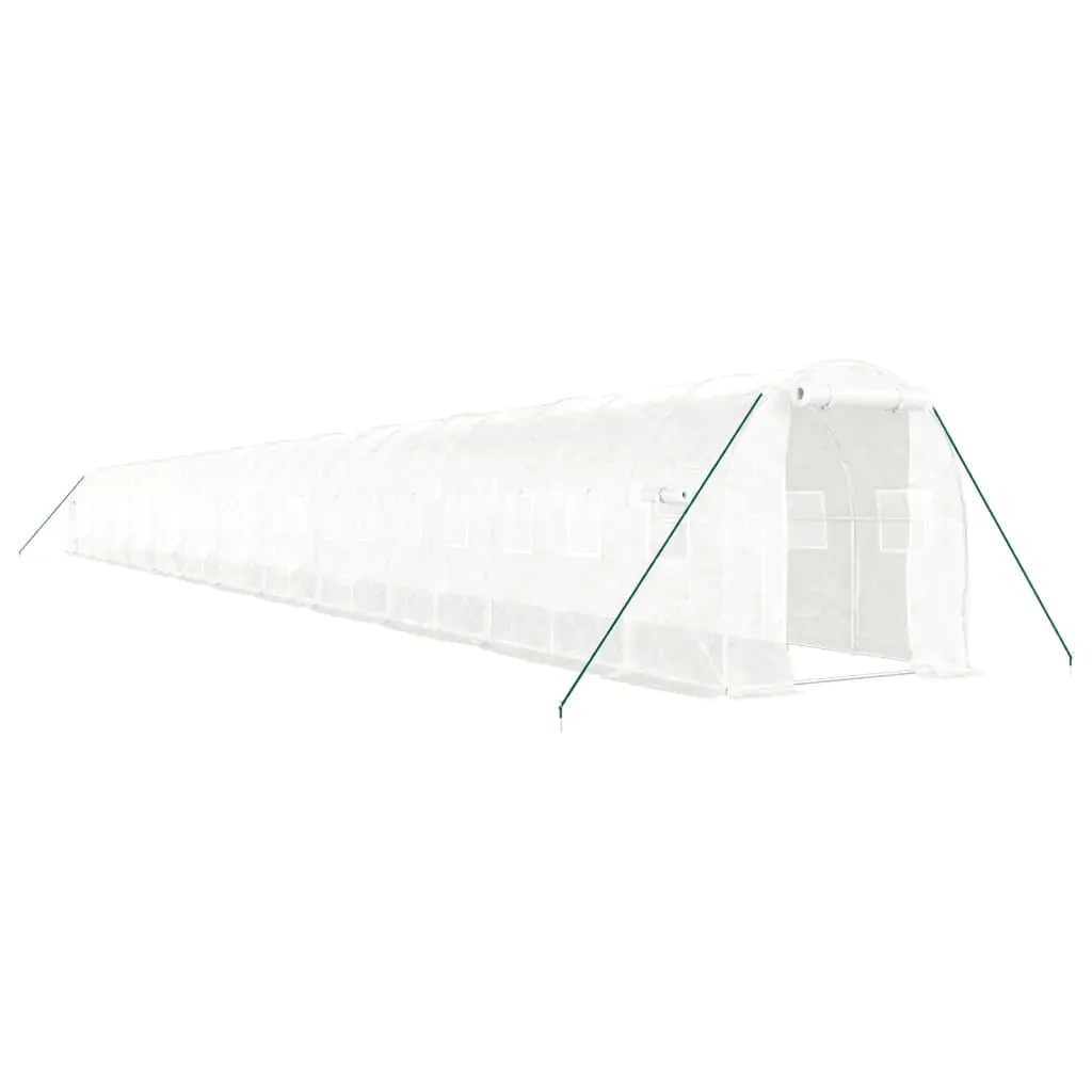 Greenhouse with Steel Frame White 48m² 24x2x2 m Price