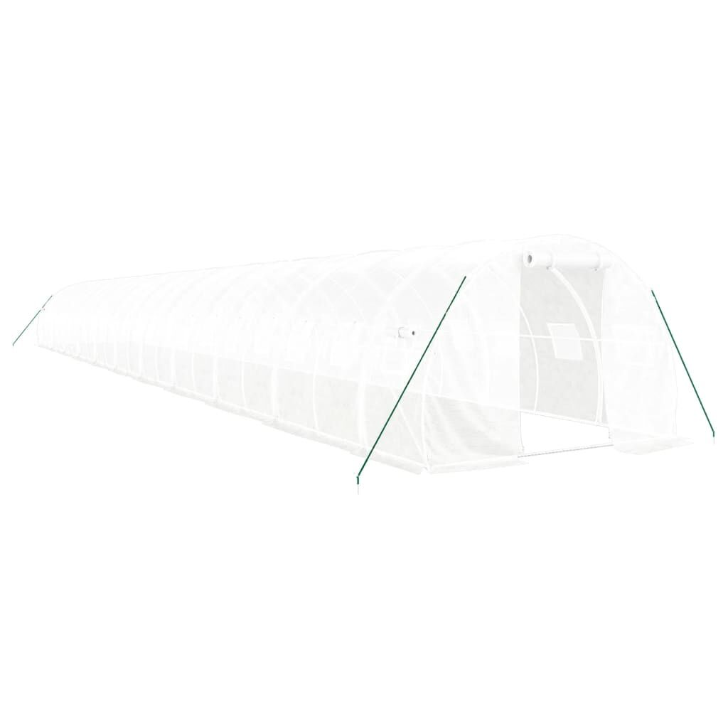Greenhouse with Steel Frame White 66 m² 22x3x2 m Price