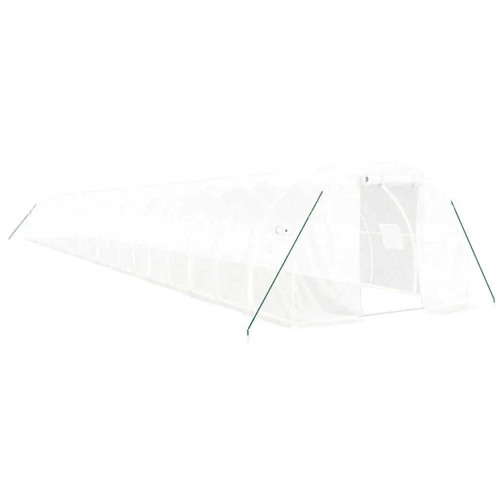 Greenhouse with Steel Frame White 66 m² 22x3x2 m Price