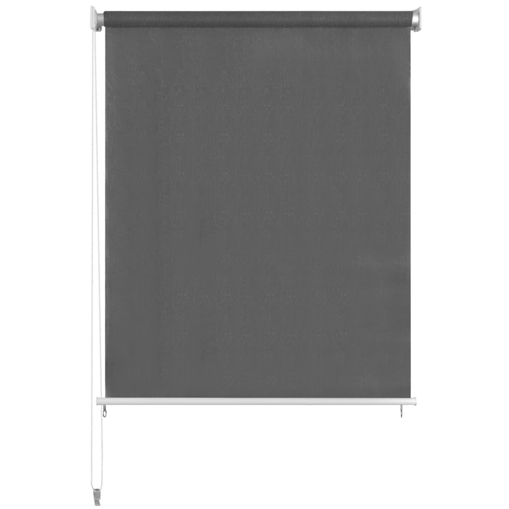 Outdoor Roller Blind 140x230 cm Anthracite Price