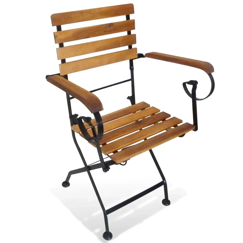 Folding Garden Chairs 2 pcs Steel and Solid Acacia Wood Price