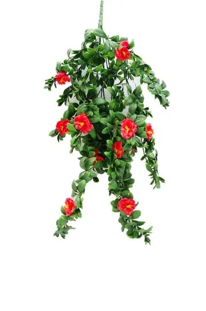 Hanging Stem UV 85cm Price