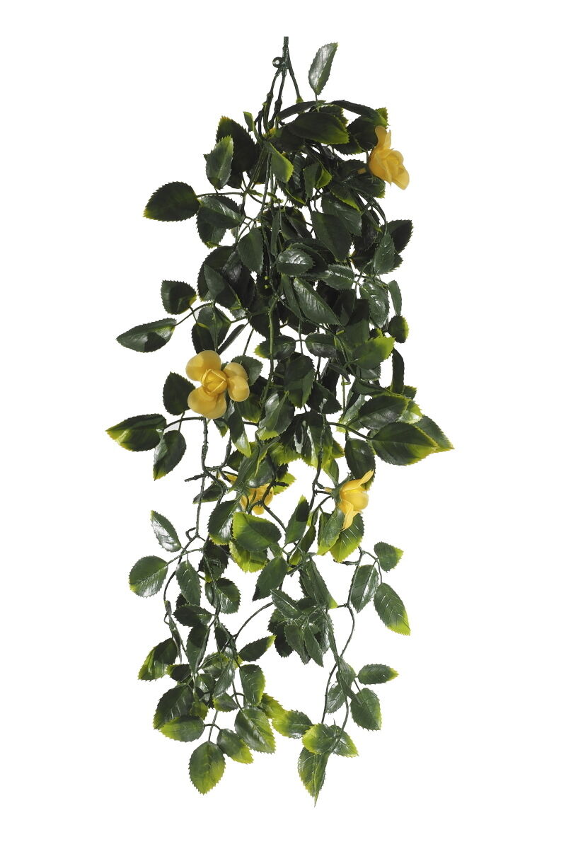 Mixed Hanging Foliage UV 60cm Price