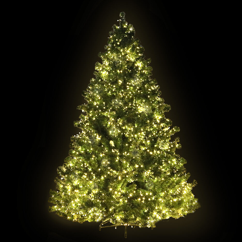 Jingle Jollys Christmas Tree Xmas Tree with LED Lights Warm White Price