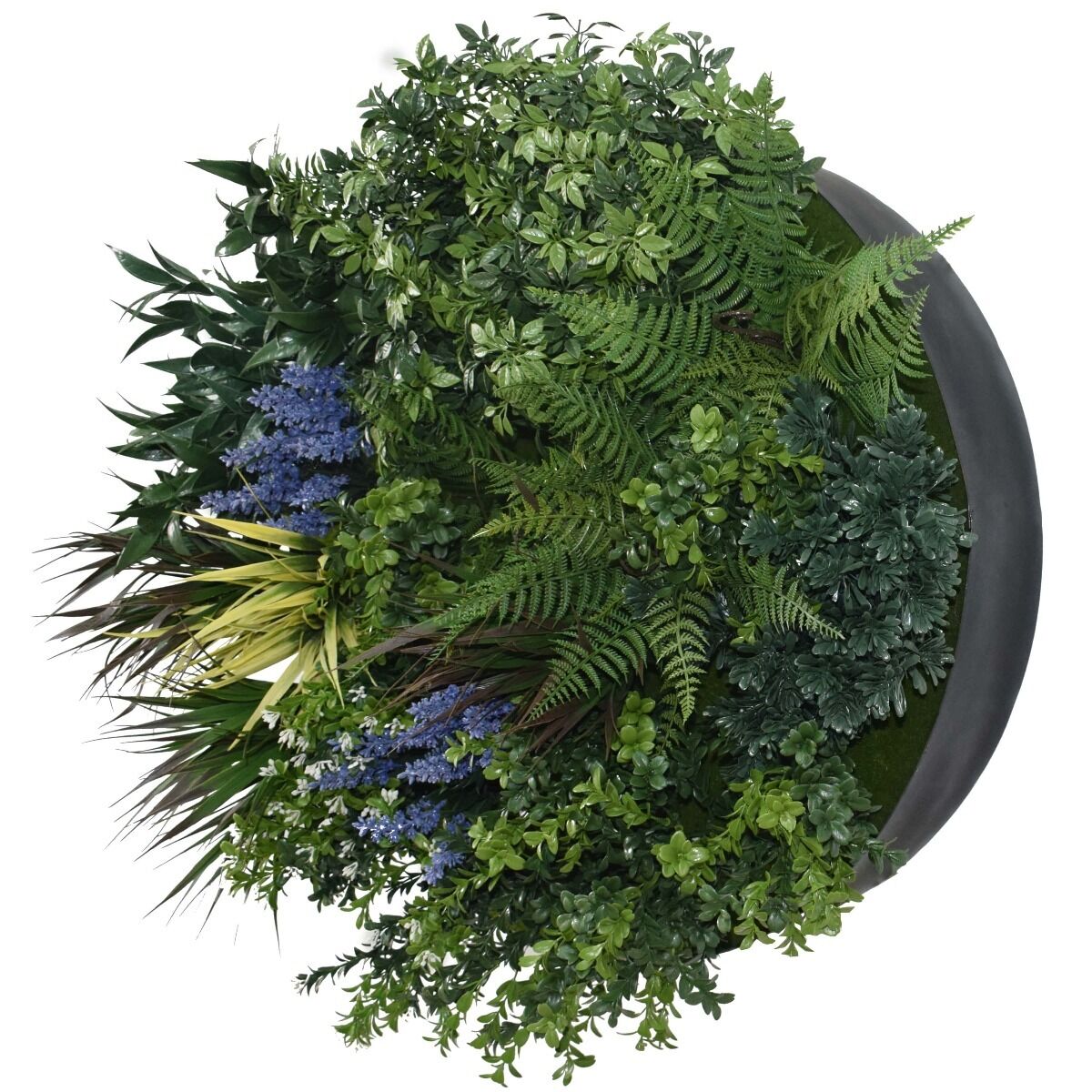 UV Lavender Fields 60cm Green Wall Disc Price