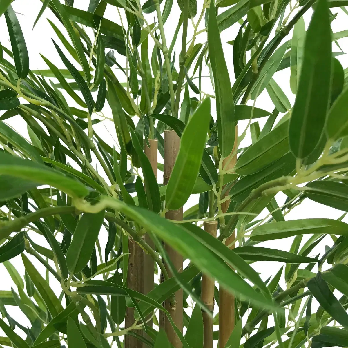 Natural Bamboo Trunk (Real Touch Leaves) Price