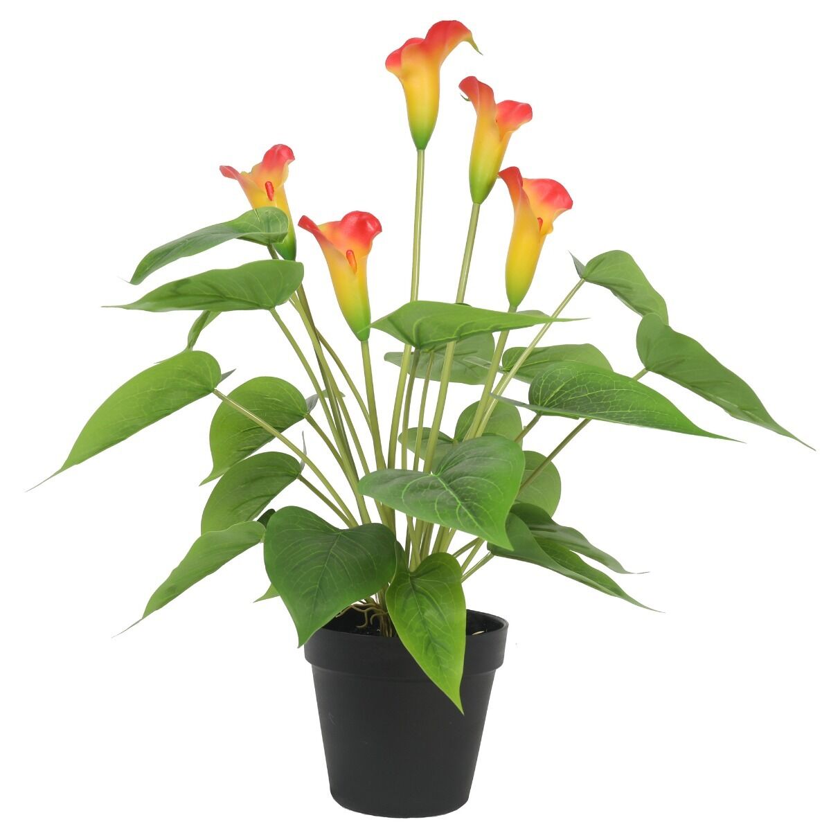 Artificial Flowering Peace Lily / Calla Lily Plant 50cm Price