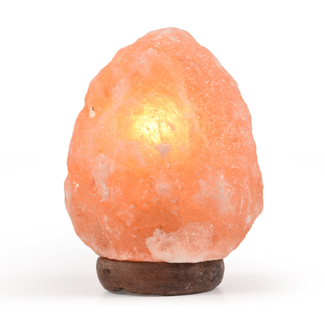 Himalayan Salt Lamp Rock Crystal Natural Light Dimmer Switch Cord Globes Price