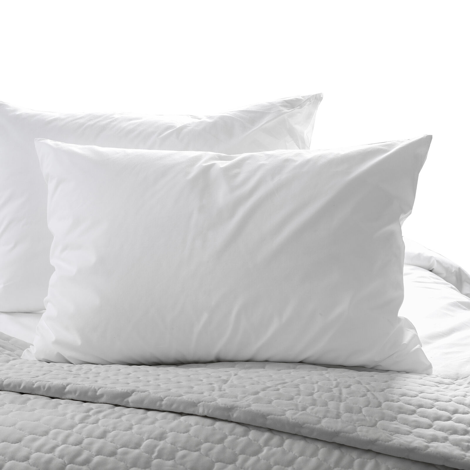 Casa Decor 50% Duck Feather 50% Duck Down Pillow Price