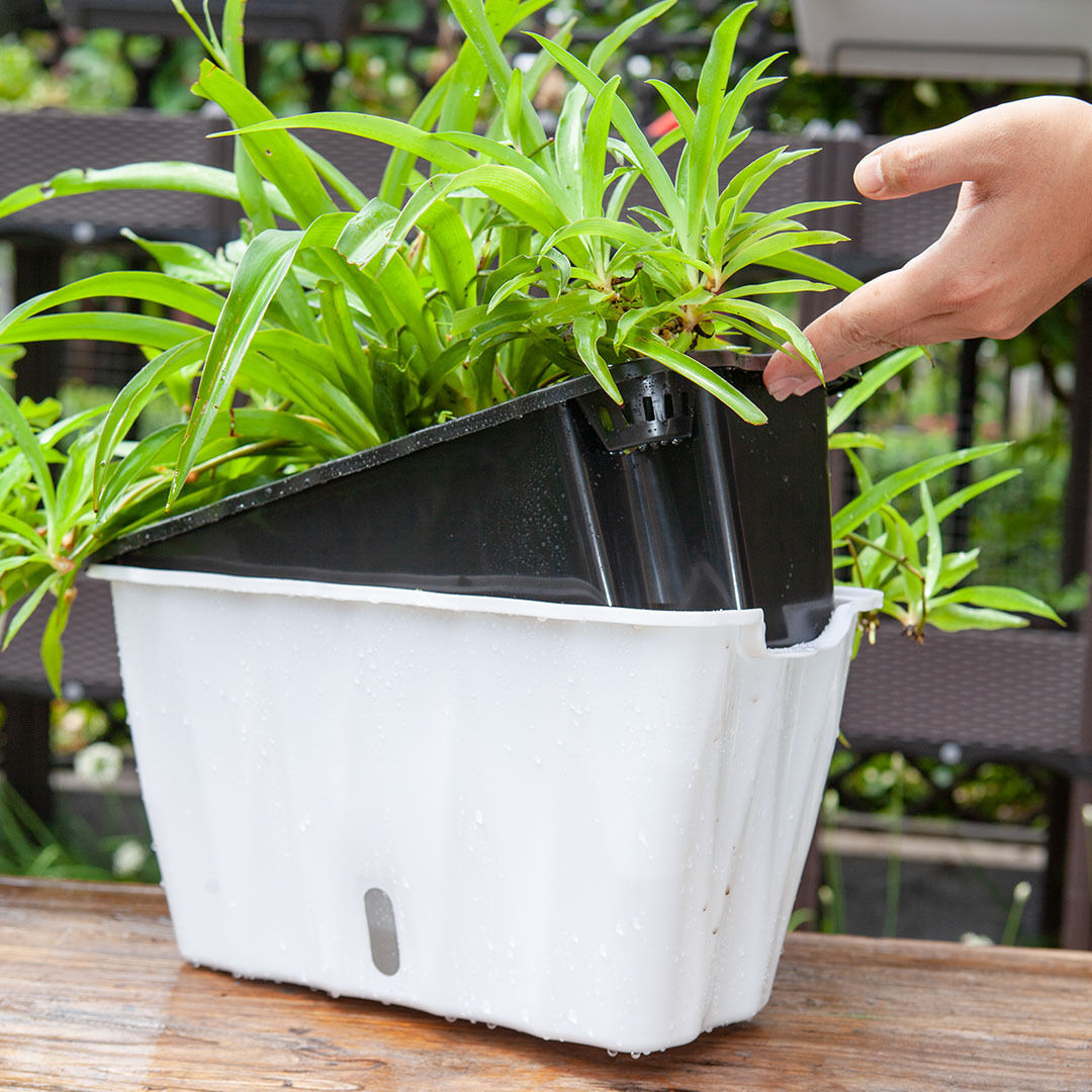 Rectangular Flowerpot Vegetable Herb Flower Outdoor Plastic Box Garden Decor Price