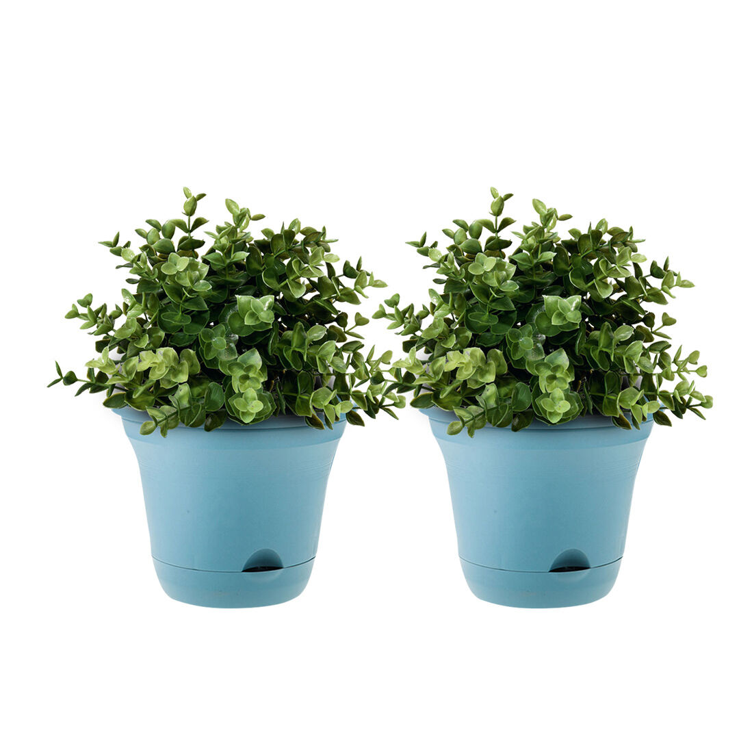 20cm Plastic Plant Pot Self Watering Planter Flower Bonsai Indoor Outdoor Garden Decor Price