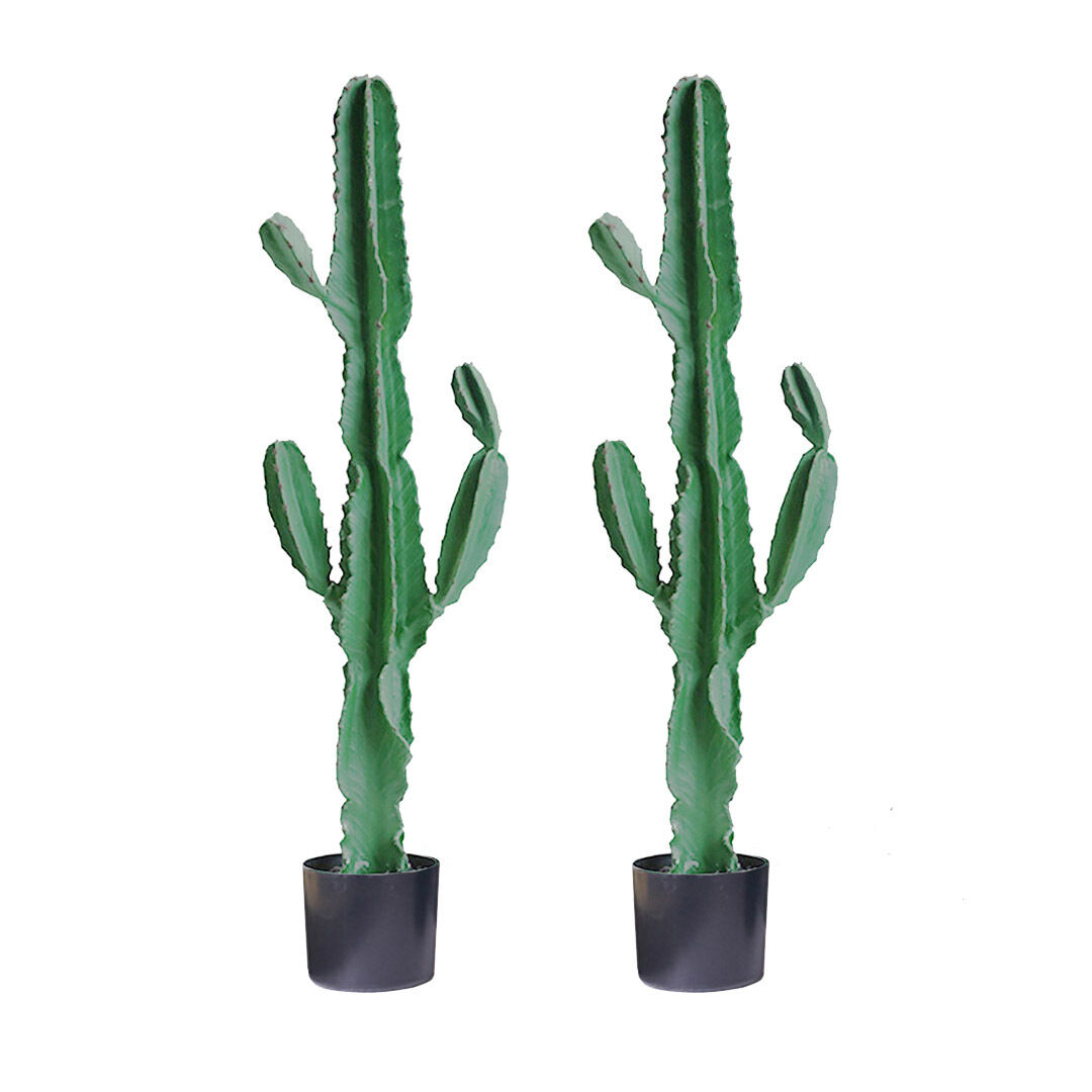 Green Artificial Indoor Cactus Tree Fake Plant Simulation Decorative 6 Heads Price