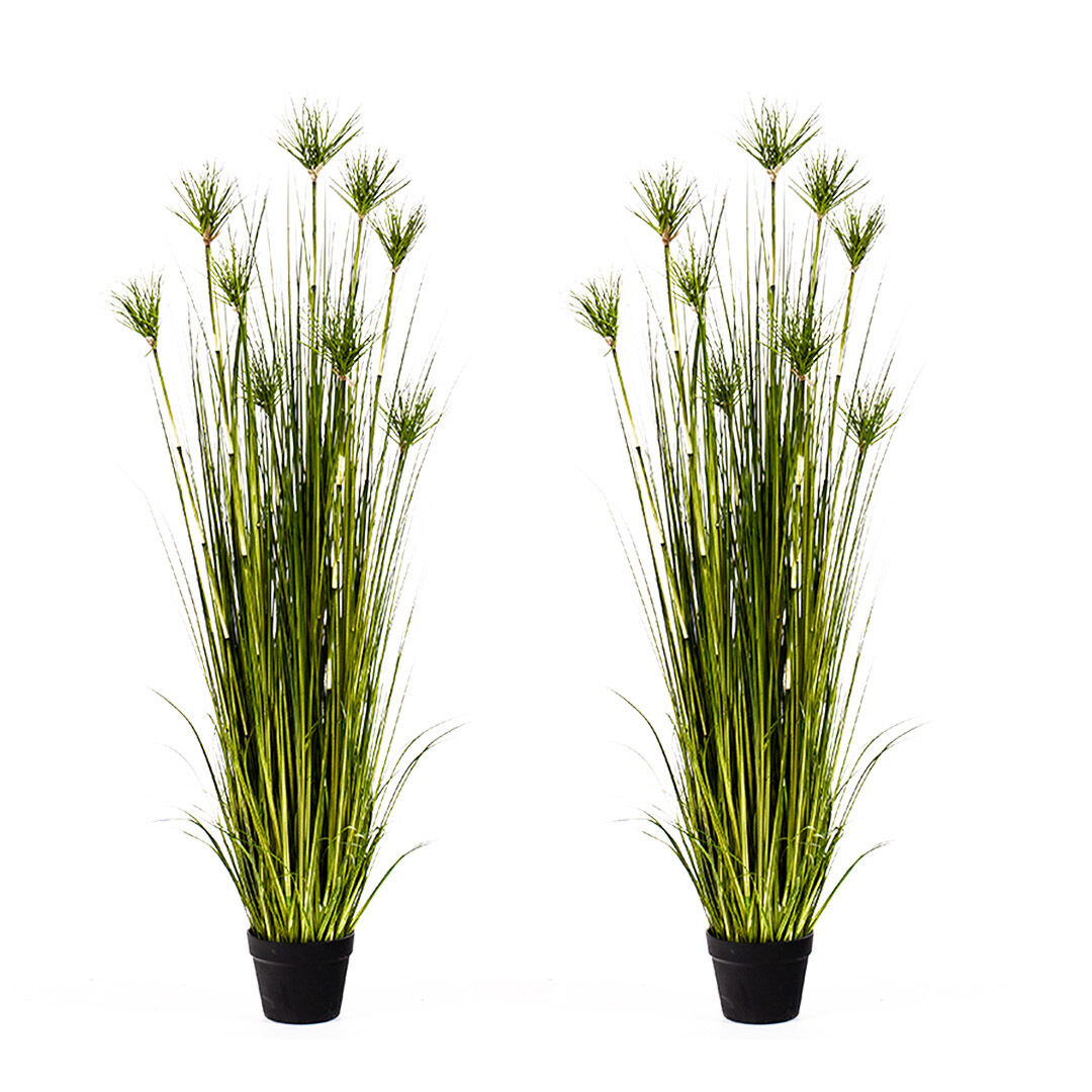 Purple Artificial Indoor Potted Papyrus Plant Tree Fake Simulation Decorative Price