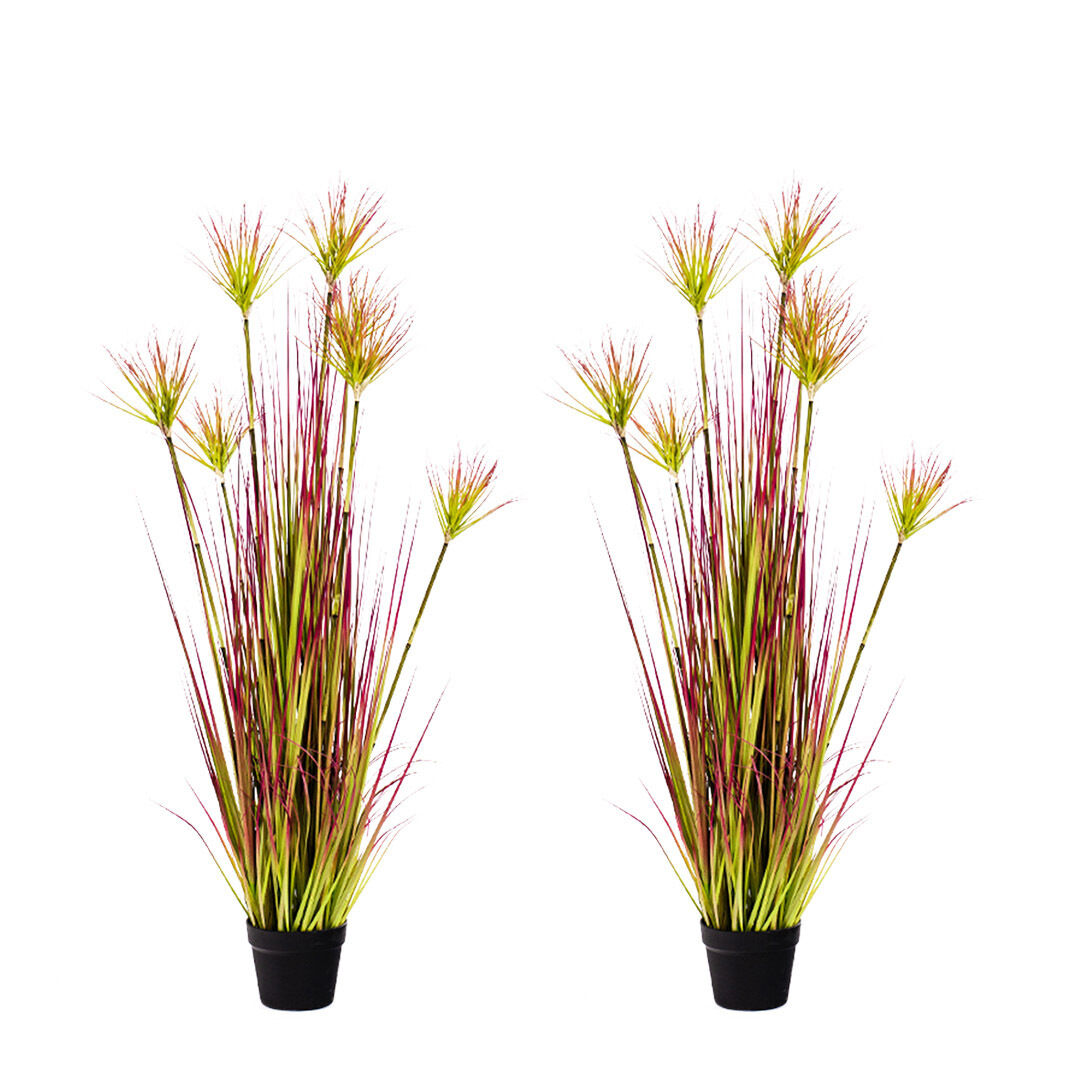 Purple-Red Artificial Indoor Potted Papyrus Plant Tree Fake Simulation Decorative Price