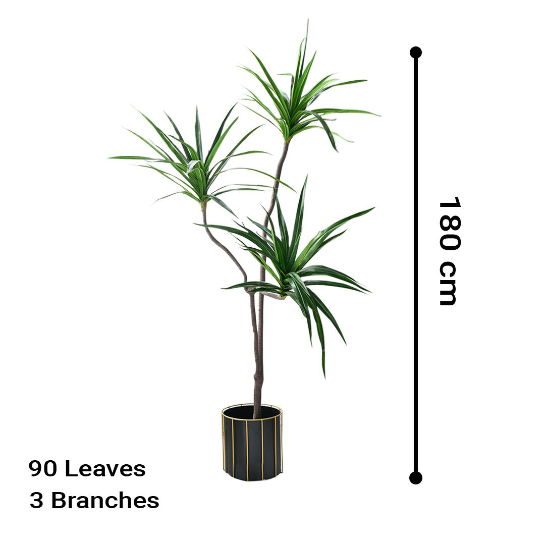 Green Artificial Indoor Brazlian Iron Tree Fake Plant Decorative 3 Heads Price