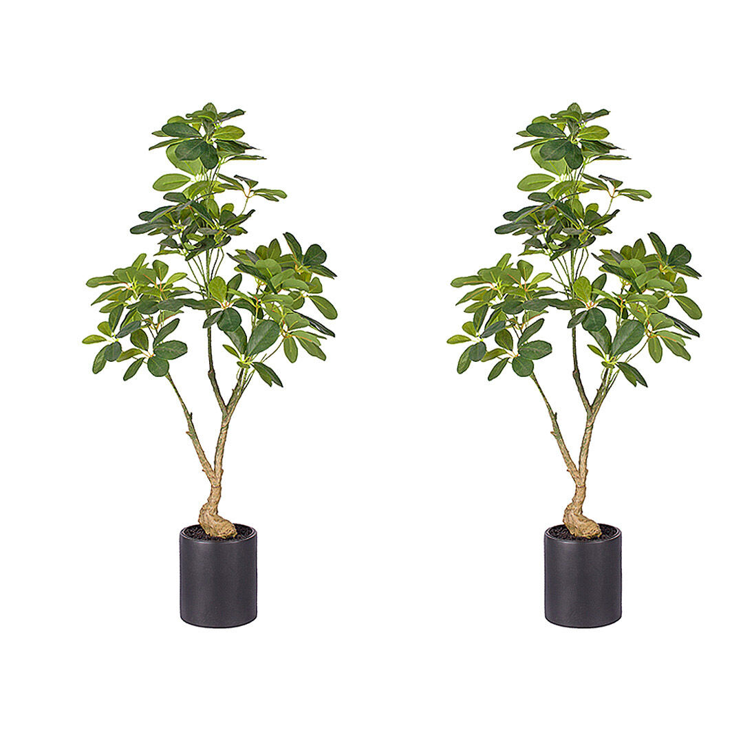 Artificial Natural Green Schefflera Dwarf Umbrella Tree Fake Tropical Indoor Plant Home Office Decor Price