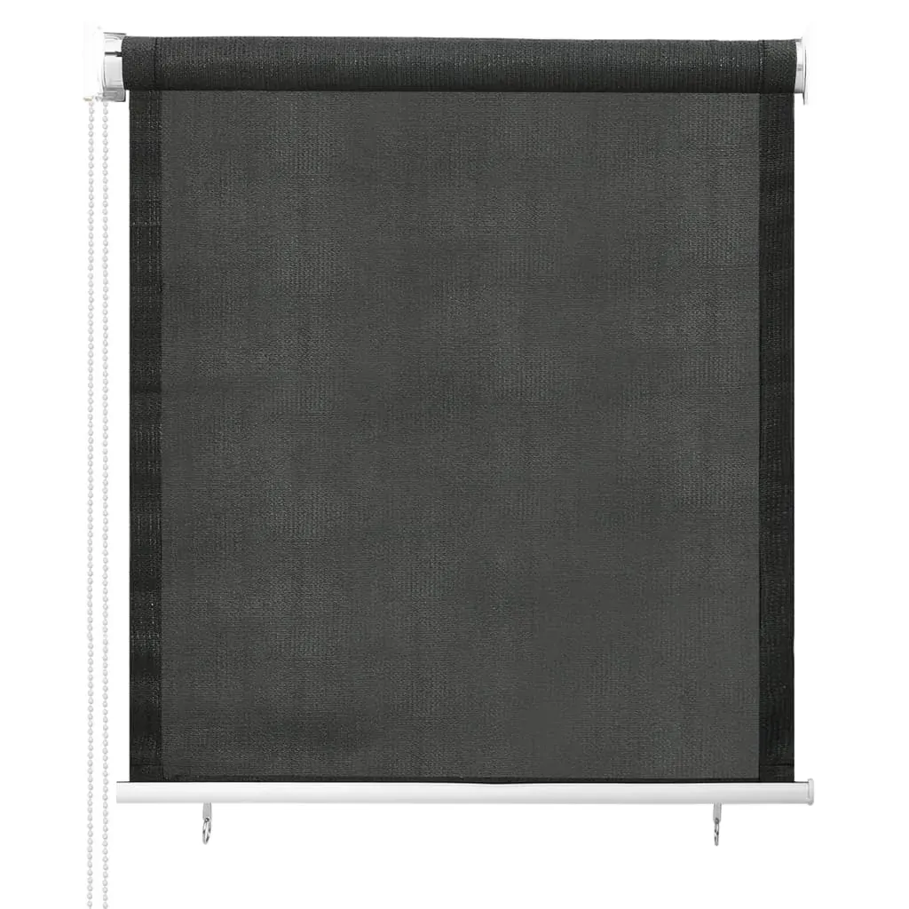 Outdoor Roller Blind Anthracite Price