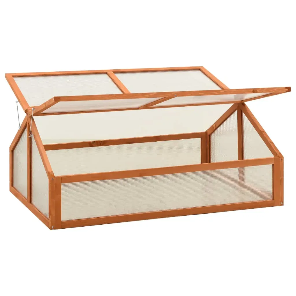 Greenhouse 120x80x50 cm Firwood Price