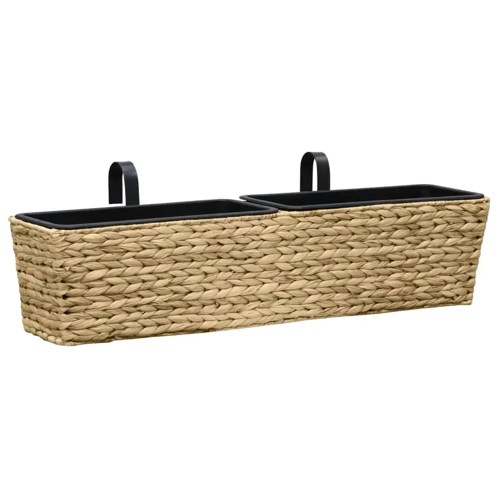 Garden Planters 2 pcs Water Hyacinth Price