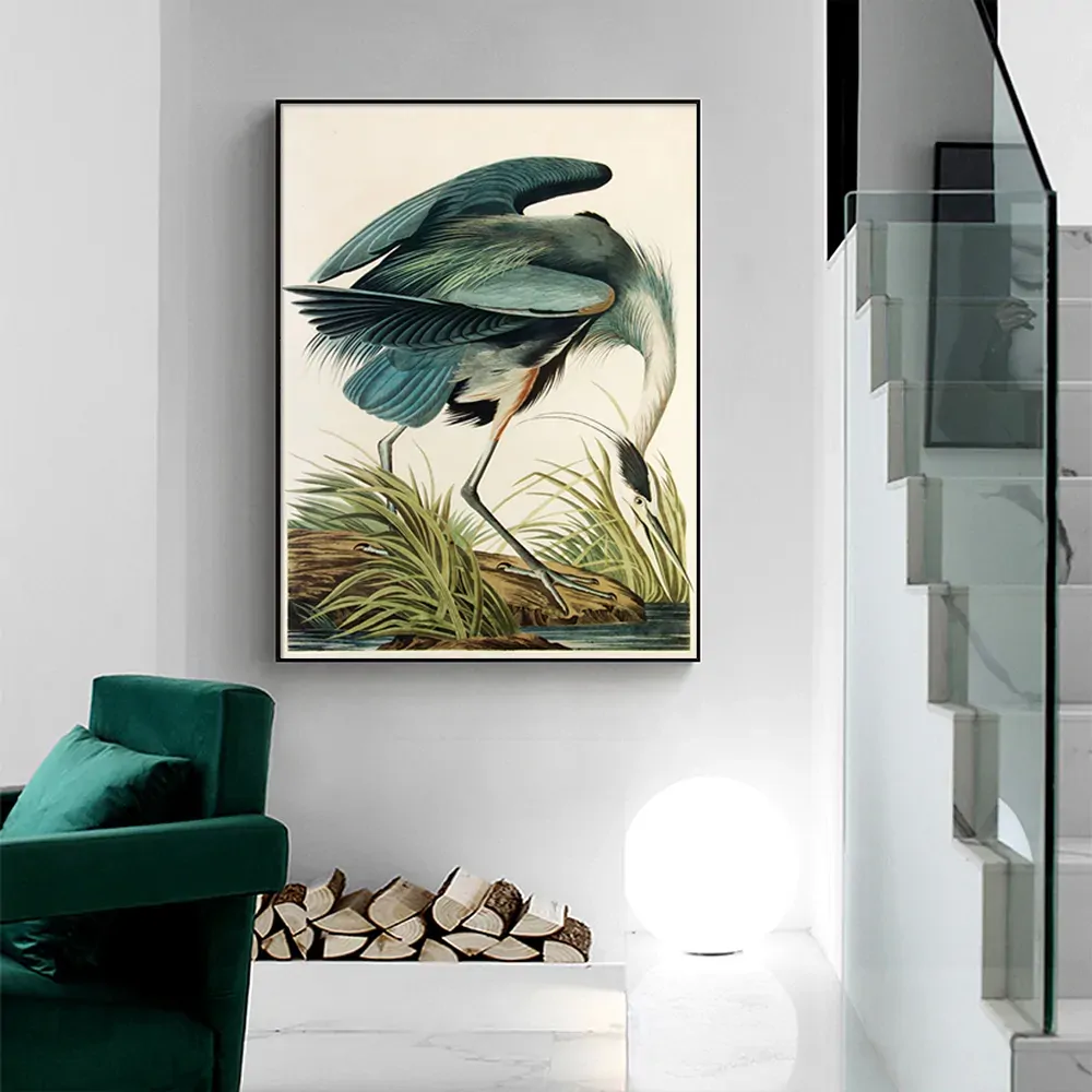 Great Blue Heron By John James Audubon Black Frame Canvas Wall Art Price