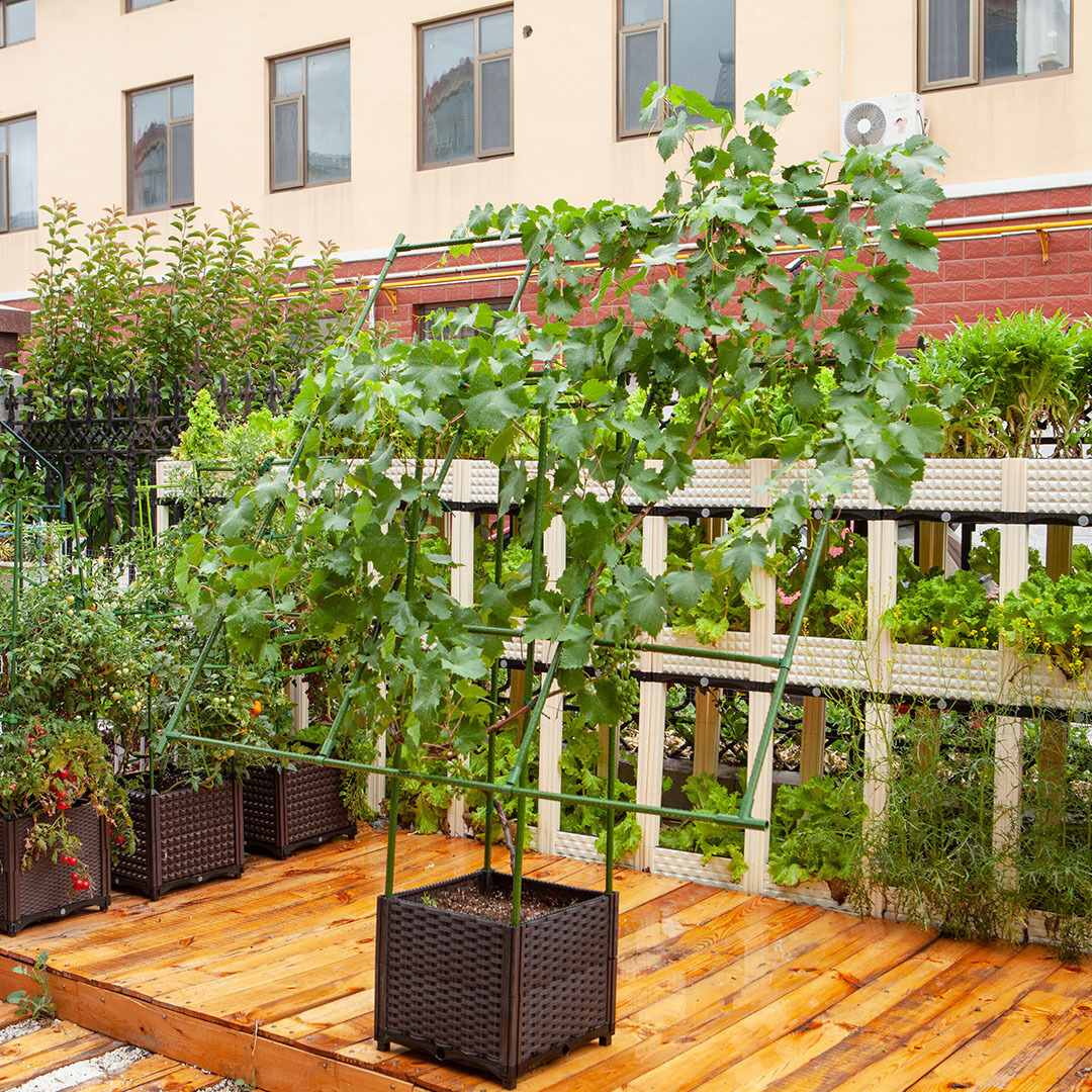 160cm rectangular inclined plant frame tube pergola trellis vegetable flower herbs outdoor vine support garden rack Price