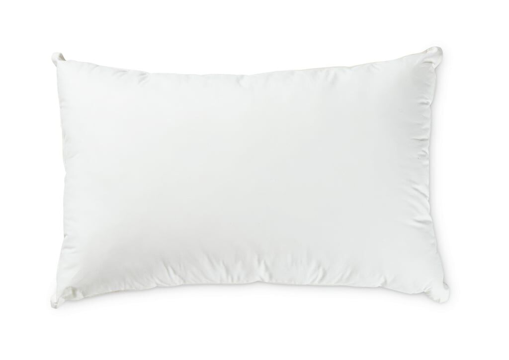 Dreamaker Organic Cotton Covered Pillow with Repreve Price