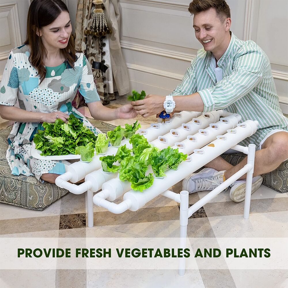 36 Sites Hydroponic Grow Tool Kits Vegetable Garden System 220V Water Pump Price