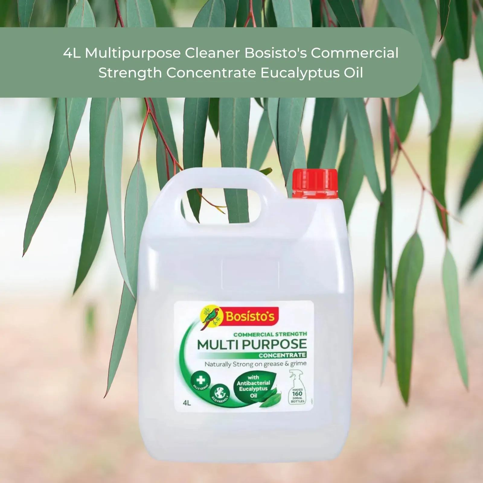 4L Multipurpose Cleaner Bosisto's Commercial Strength Concentrate Eucalyptus Oil Price