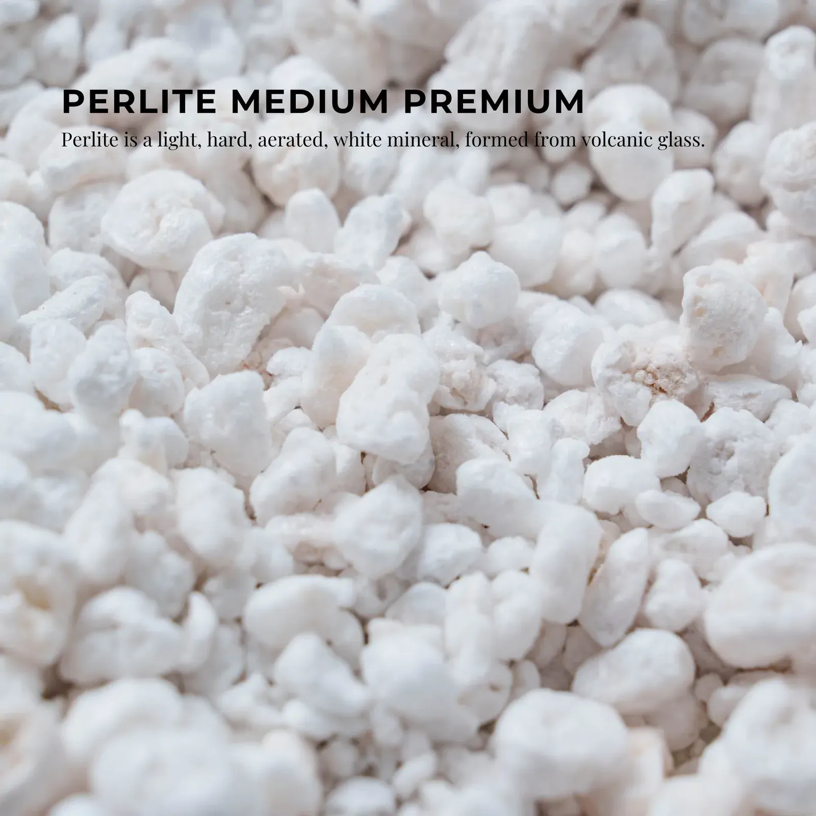 100L Perlite Medium Premium Soil Expanded Plant Growing Media Plants Hydroponics Price
