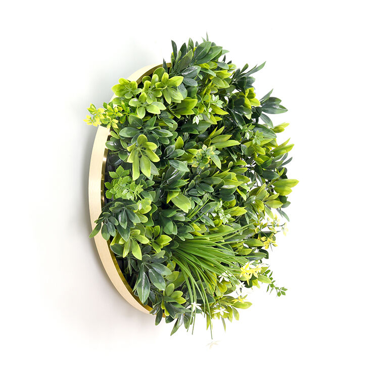 Artificial Green Wall Plant Garden Panel Daffodil Smile Disc Art 50cm Grassy UV Resistant Frame Price