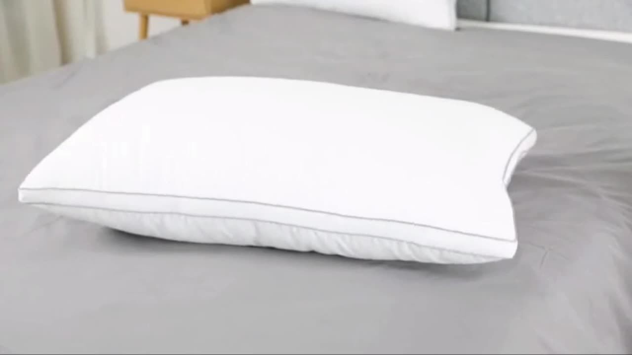 2 x King Size Pillow with free 2 x King pillow cases Price