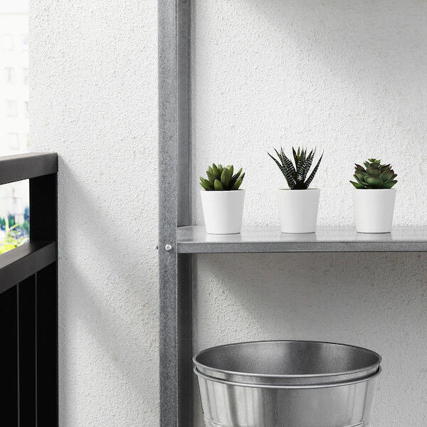3 Pack of Artificial Succulent Potted Plants in White Plastic 6cm Pot Interior Decoration Price