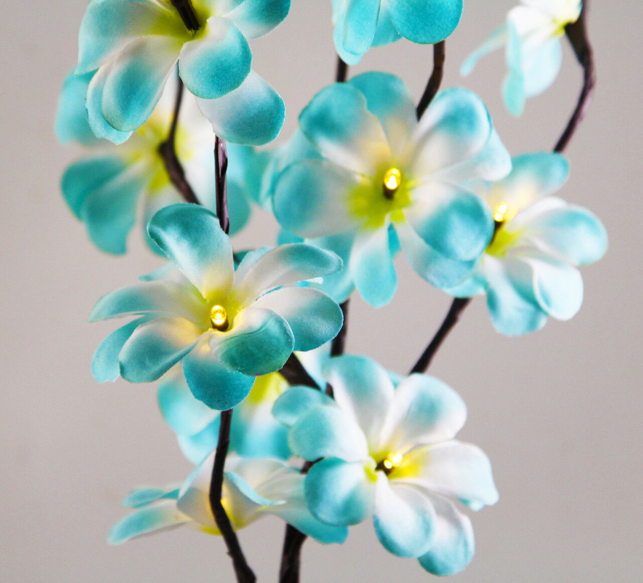1 Set of 50cm H 20 LED Blue Frangipani Tree Branch Stem Fairy Light Wedding Event Party Function Table Vase Centrepiece Tropical Decoration Price