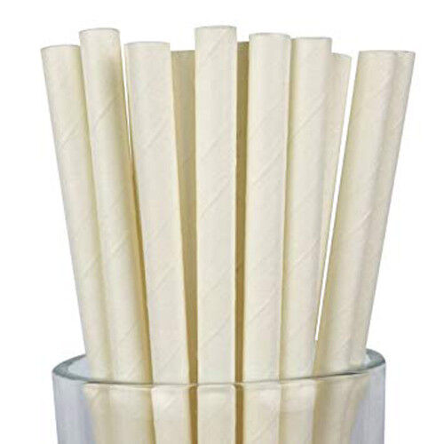 1000 Bulk Wholesale Pack White Drinking Straws Biodegradable Eco Paper Birthday Party Event Bistro Bar Cafe Take Away Price