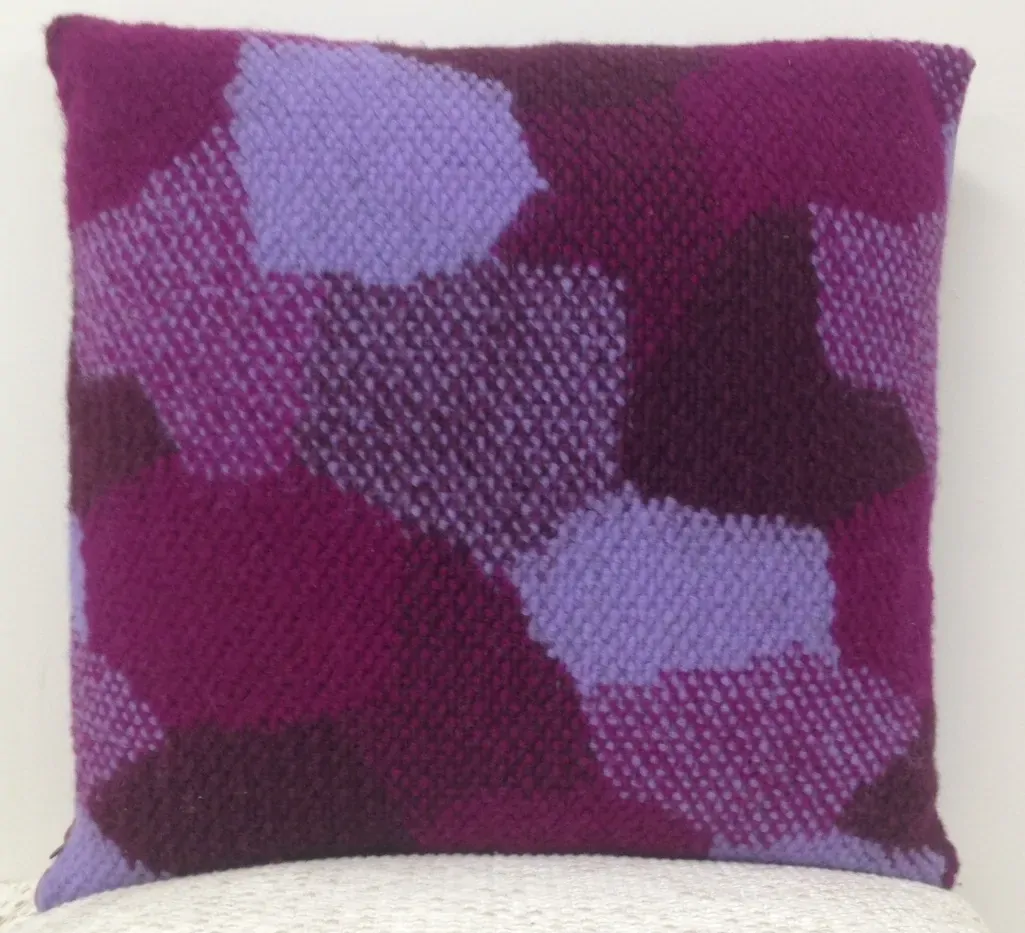 Pack of 2 Giovanni Fuchsia Purple Cushion Cover Made In Europe Price