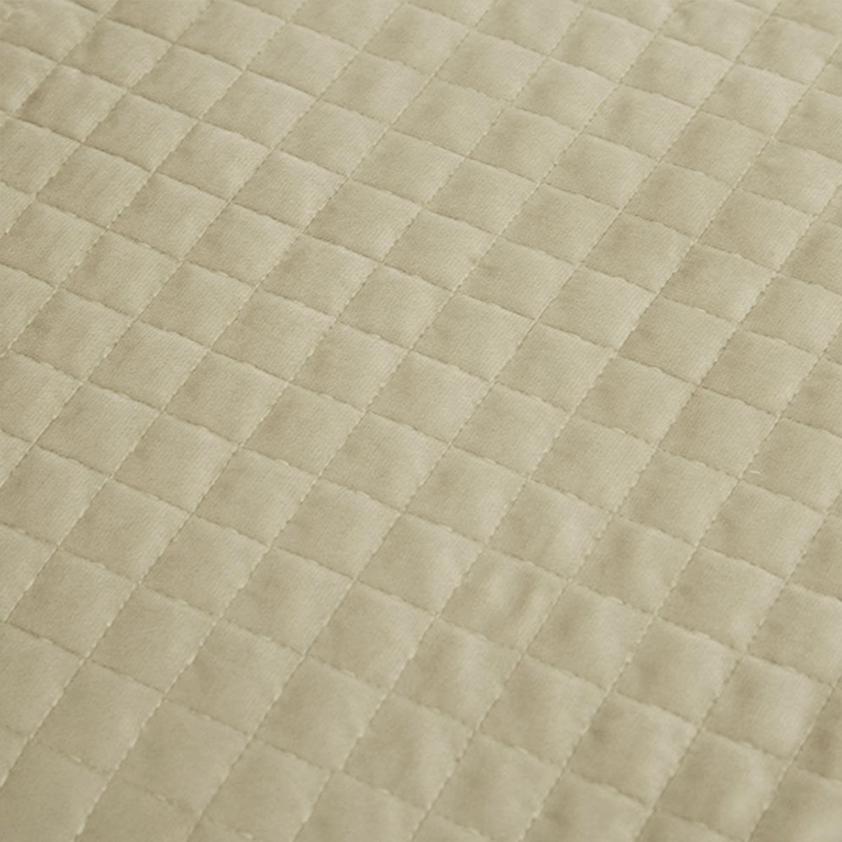 J.Elliot Home Adela Sandstone Velvet Quilted Coverlet Set Queen/King Price