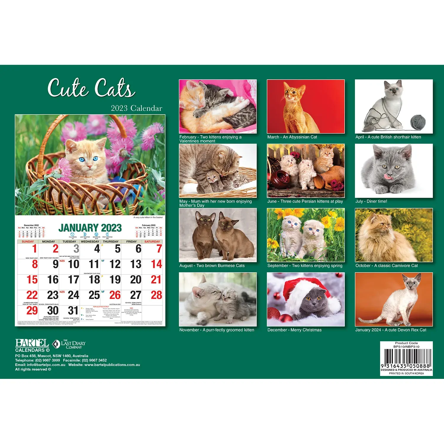 Cute Cats 2023 Rectangle Wall Calendar 16 Months Planner New Year Christmas Gift Price