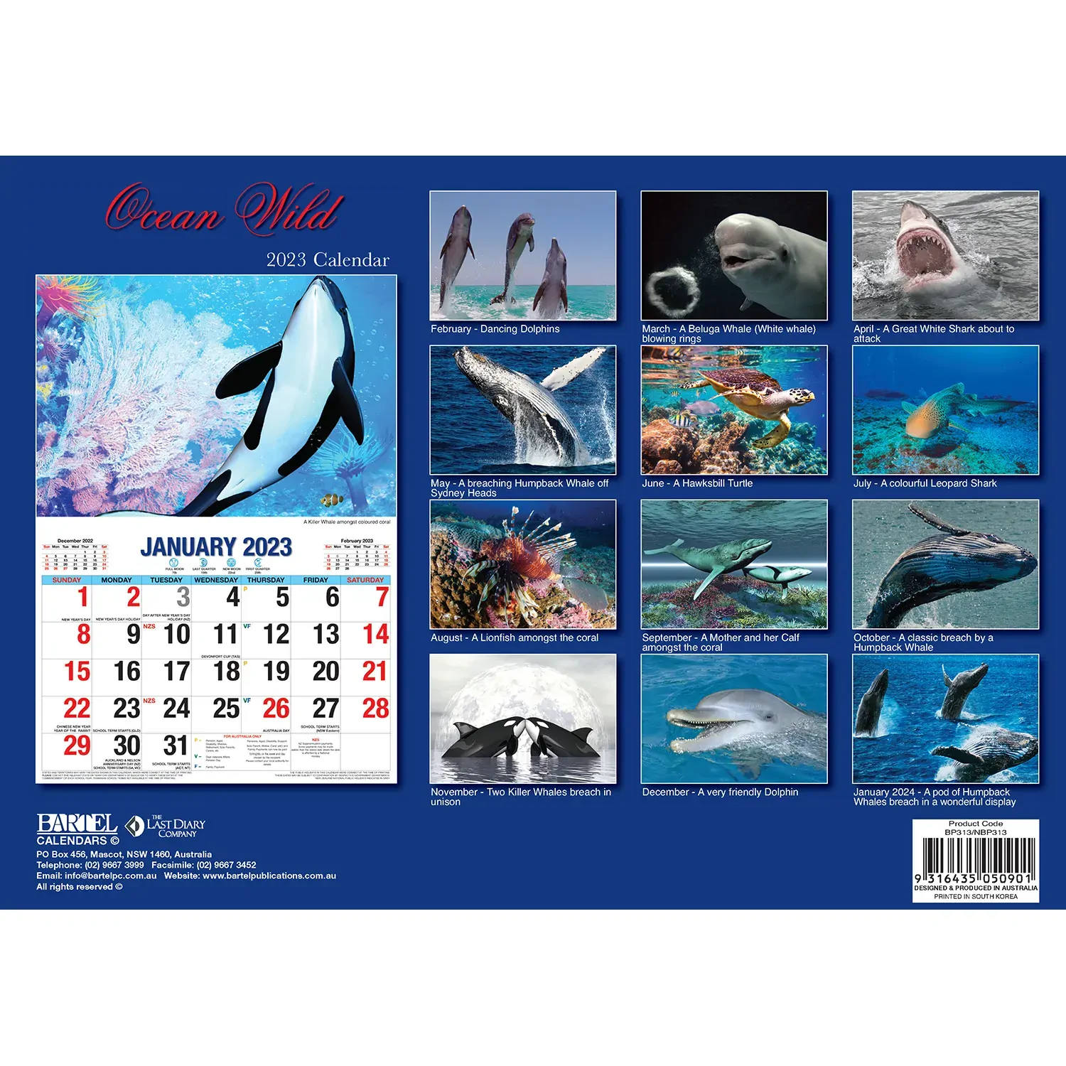 Ocean Wild – 2023 Rectangle Wall Calendar 16 Months Planner New Year Gift Price