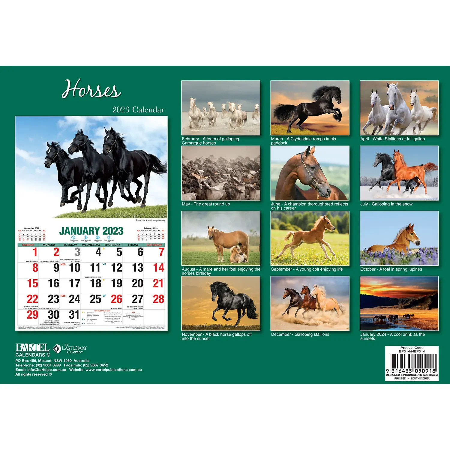 Horses – 2023 Rectangle Wall Calendar 16 Months Planner New Year Christmas Gift Price