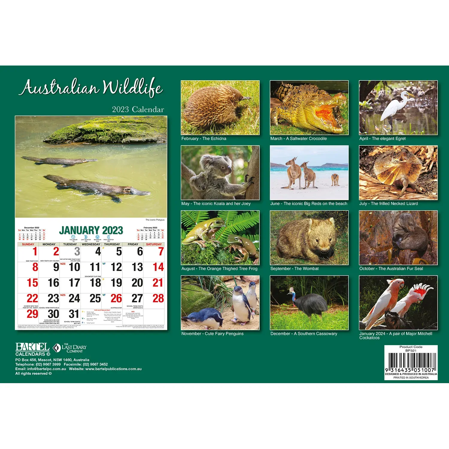 2023 Australian Wildlife Rectangle Wall Calendar 16 Months Planner New Year Gift Price