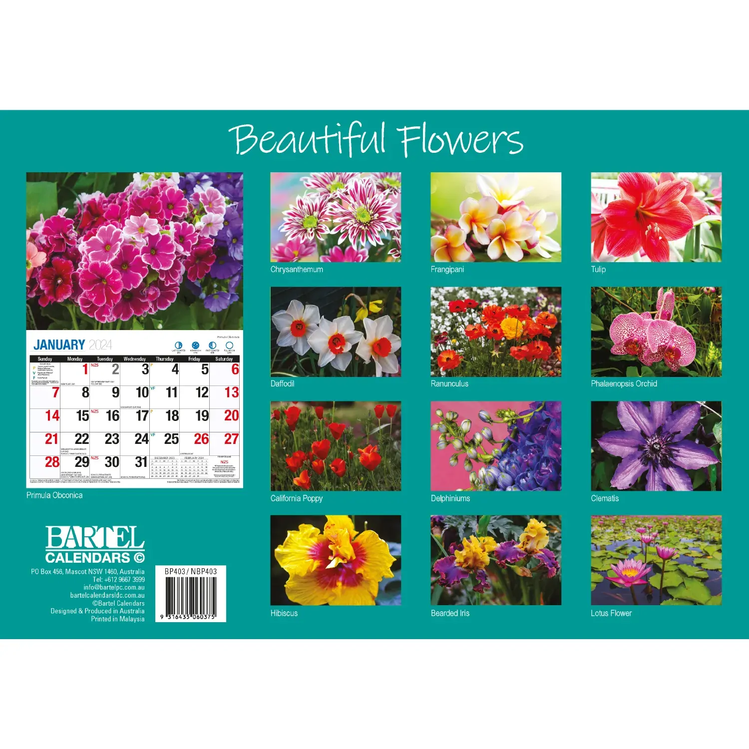Beautiful Flowers - 2024 Rectangle Wall Calendar 16 Months Floral Art Home Decor Price
