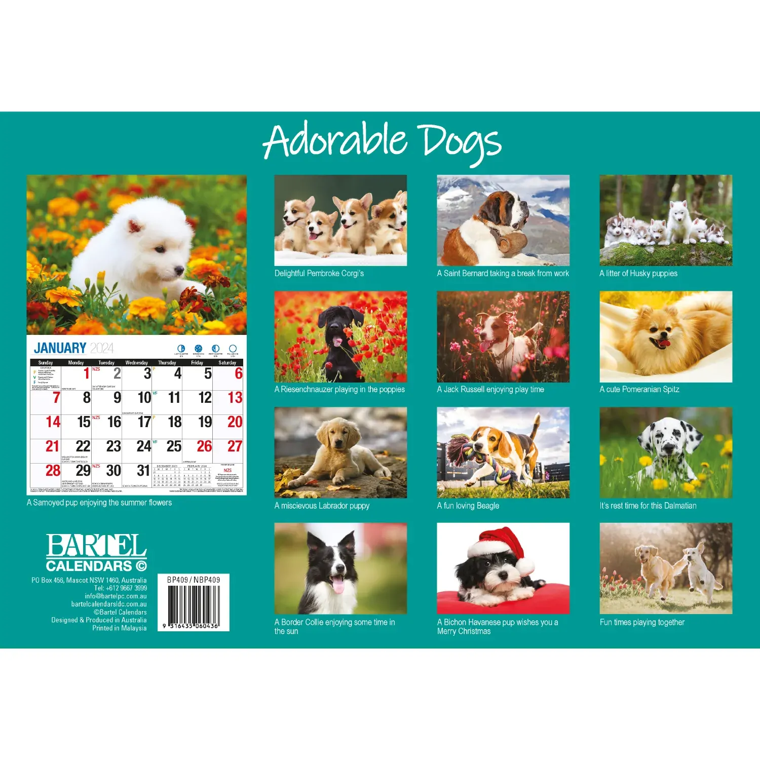 Adorable Dogs 2024 Rectangle Wall Calendar 16 Months Planner Cute Animal Photos Price