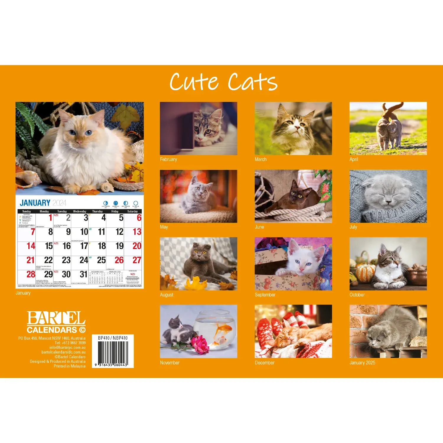 Cute Cats - 2024 Rectangle Wall Calendar 16 Months Planner Animal Pets Photos Price