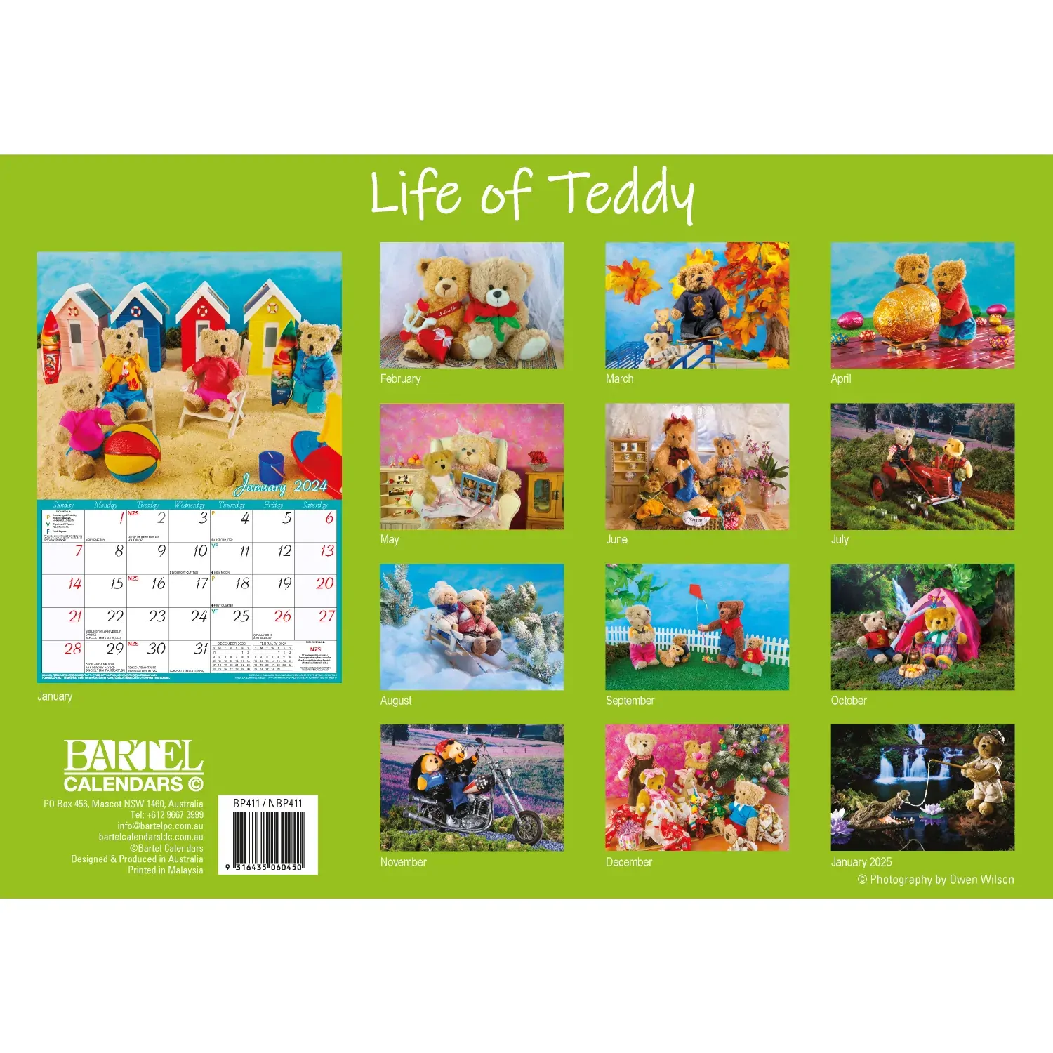 Life of Teddy - 2024 Rectangle Wall Calendar 13 Months Planner Adventures Gift Price