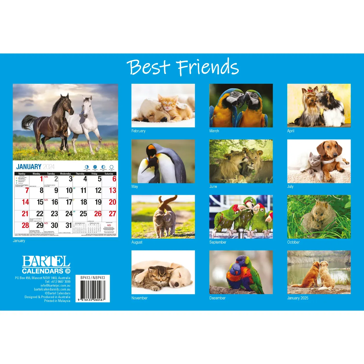 Best Friends - 2024 Rectangle Wall Calendar 16 Months Animals Friendship Moments Price