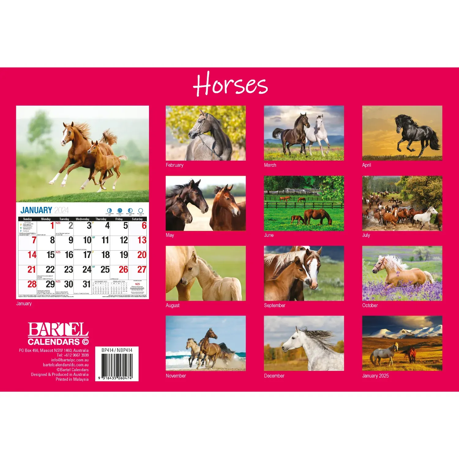 Horses - 2024 Rectangle Wall Calendar 16 Months Animal Planner New Year Gift Price